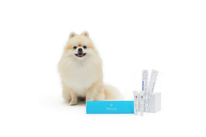 [犬用] スマート検査キット